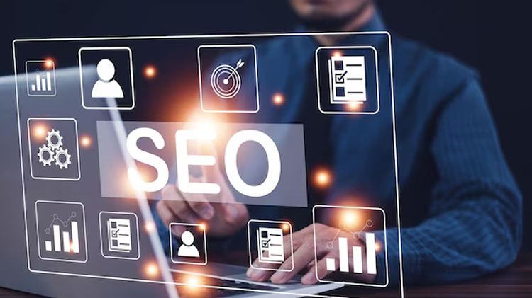 Seo Optimization